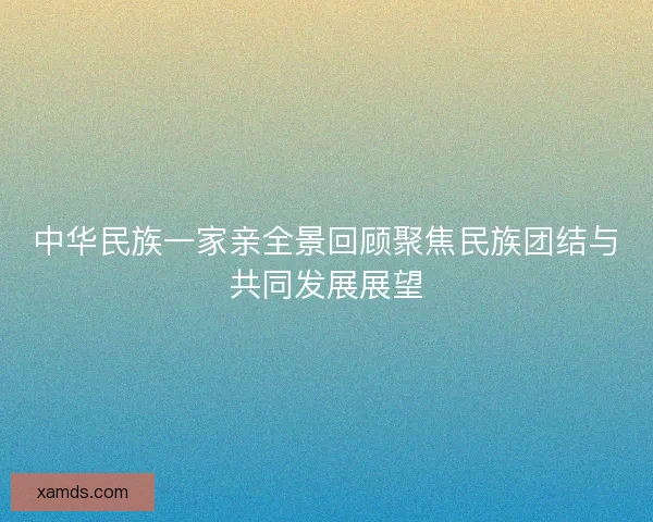 中华民族一家亲全景回顾聚焦民族团结与共同发展展望